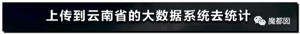震怒全网!云南导游骂游客“你孩子没死就得购物”引发爆议!46 震怒全网!云南导游骂游客“你孩子没死就得购物”引发爆议!46