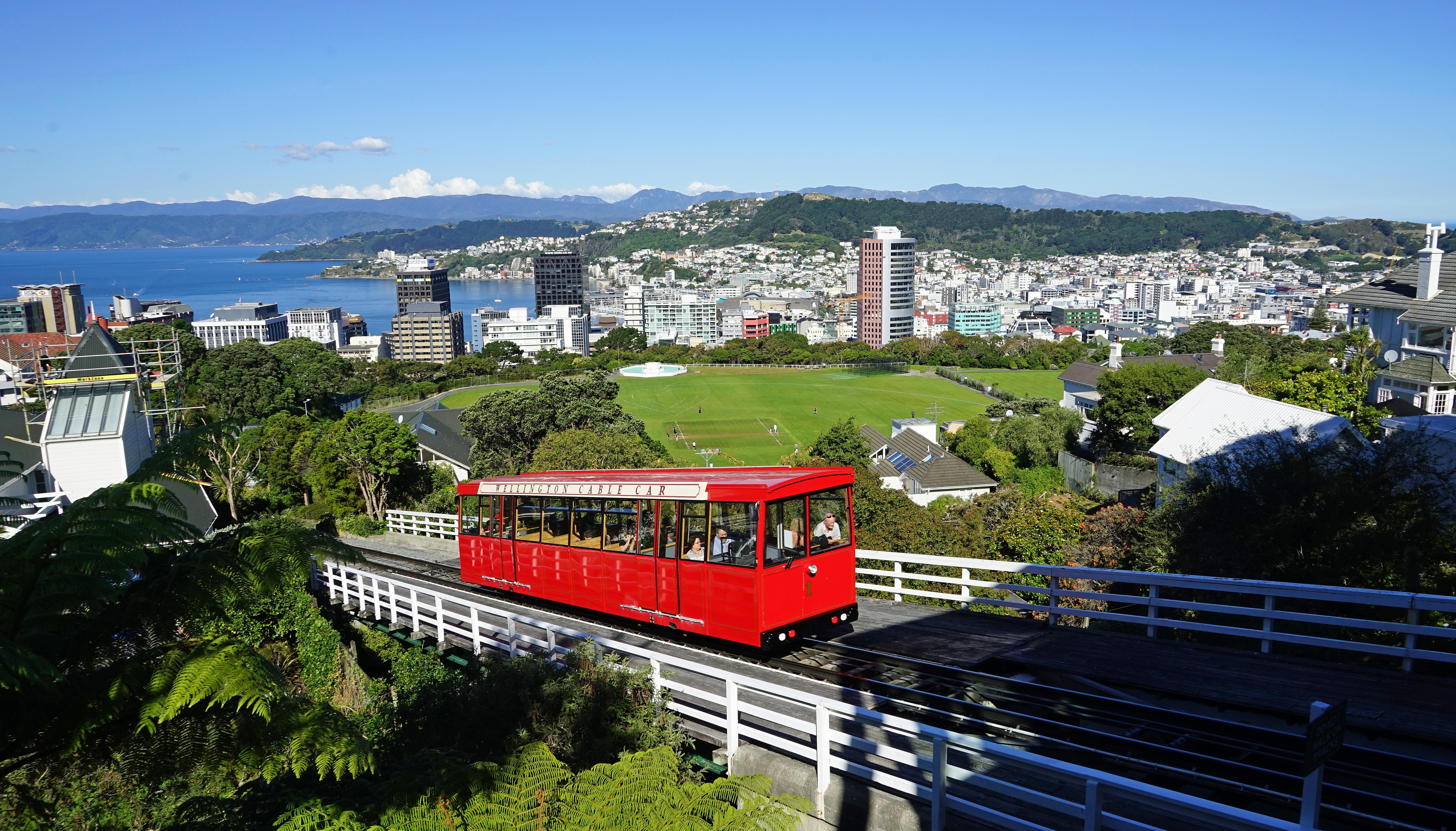 办新西兰旅游签证多少钱_新西兰旅游签证申请表_申请新西兰旅游签证多少钱
