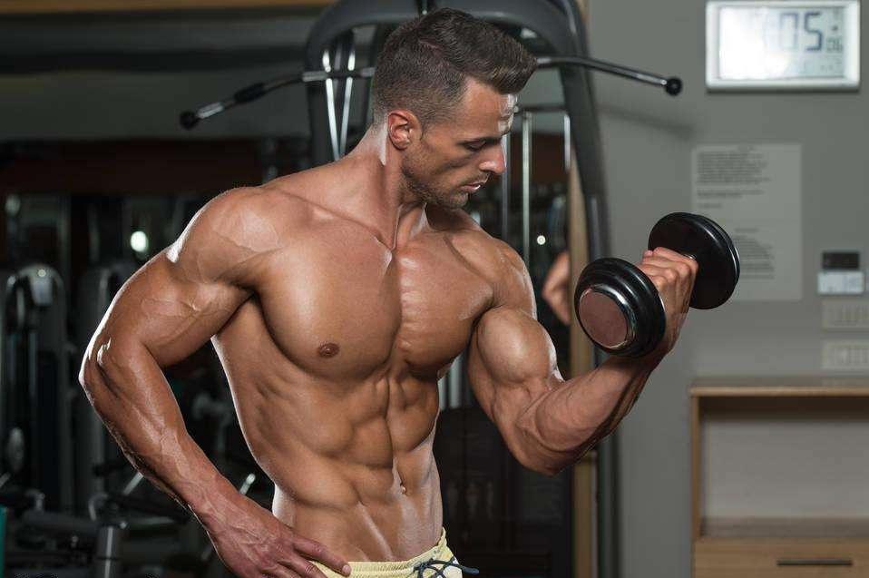 汉子版丨人体肌肉解剖图合集 最值得收藏的好文 知乎