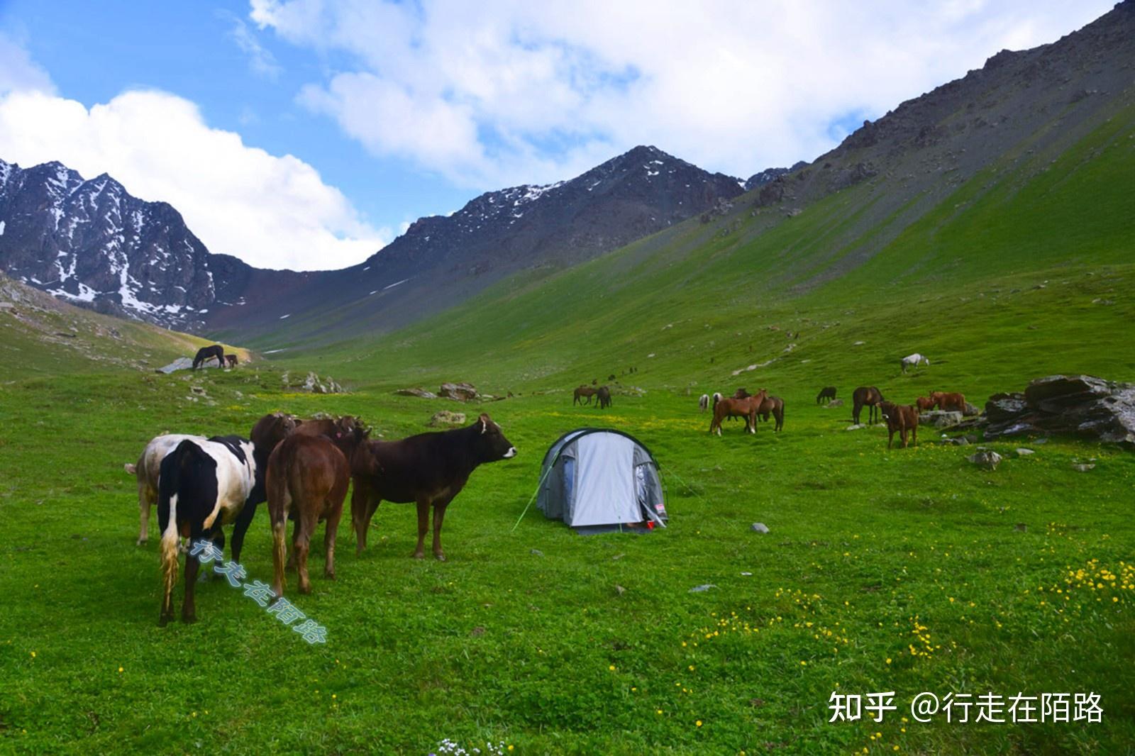 自愿投俄的图瓦共和国混成亚洲最穷地区首府落后如村镇