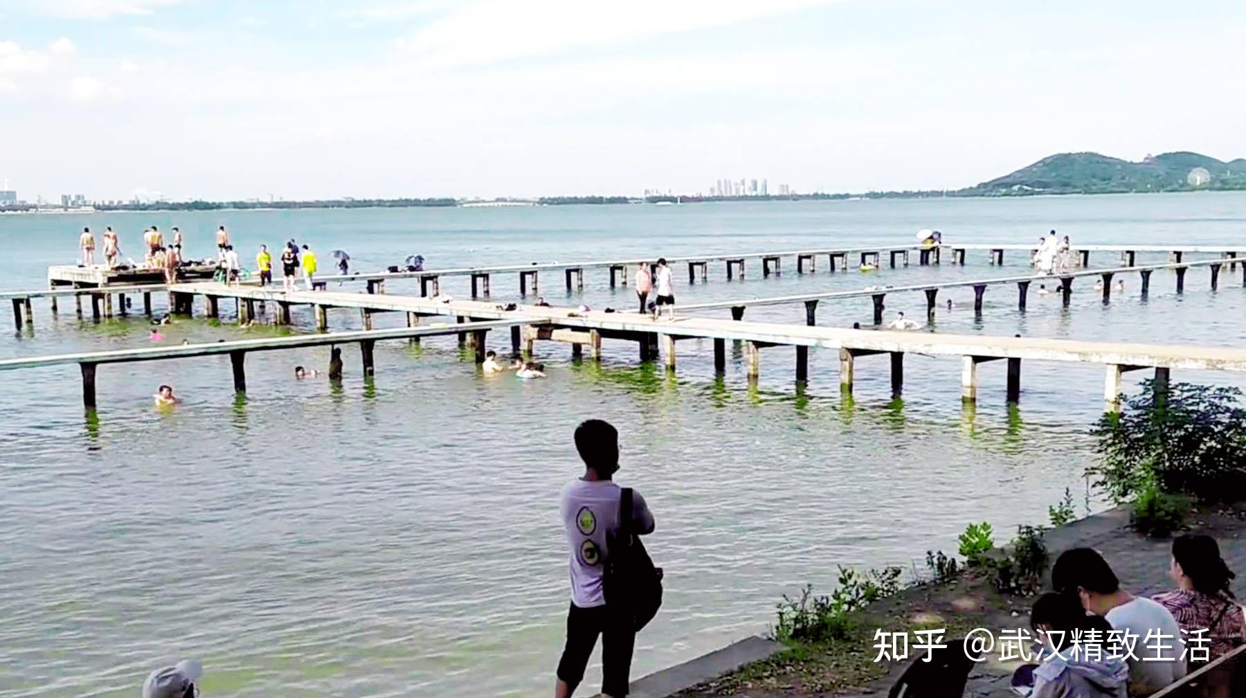 武大凌波门 不仅是武汉游泳者爱好者的天堂 还能带来什么 - 知乎