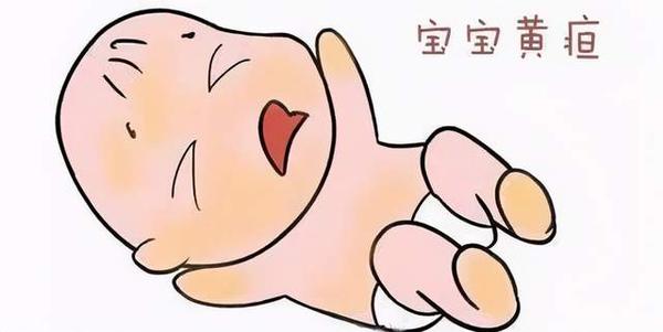 母乳性黄疸 放弃母乳 知乎