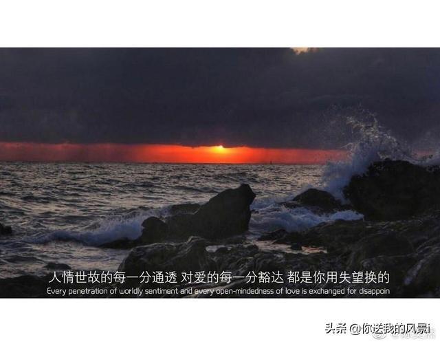 人生感悟的经典句子100句。插图55 人生感悟的经典句子100句。插图55