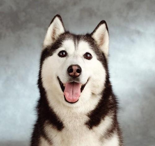 v2-8f24212e77313d9e0e2ae53e7ba95a3f_1440w.jpg?source=172ae18b