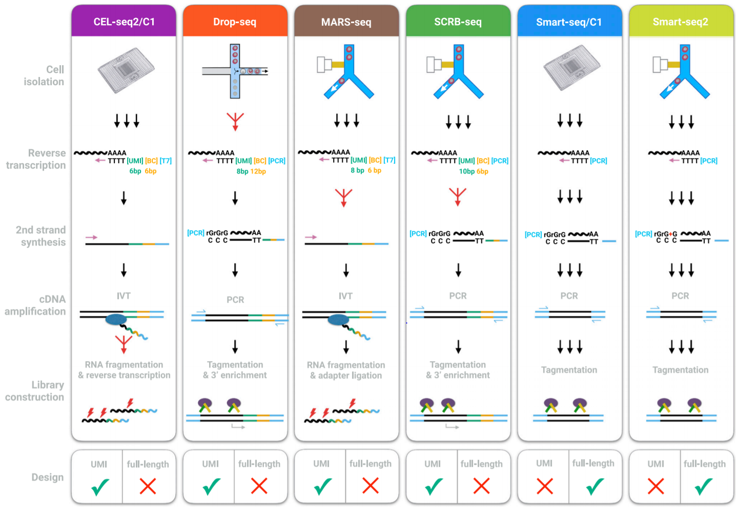 【豪克博士聊科研】教你单细胞测序（四）操作流程（3） - 知乎