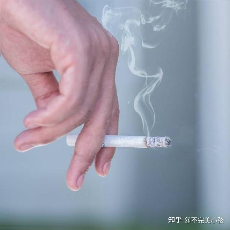 【不交智商税】除烟味空气净化器实测对决!除烟味空气净化器哪个牌子好?拾梧、美的、舒乐氏等多款热门除烟味空气净化器测评,专业除烟味空气净化器点评!小白新手也能轻松GET到