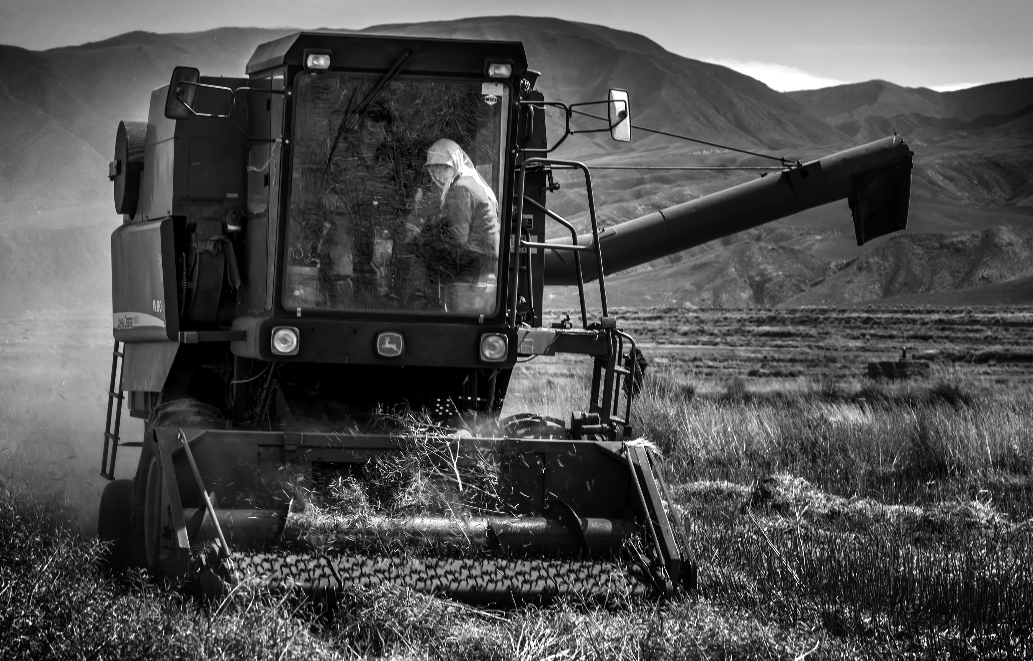 吕志俊:河西女人|第一届甘肃现代摄影艺术展览优秀摄影作品