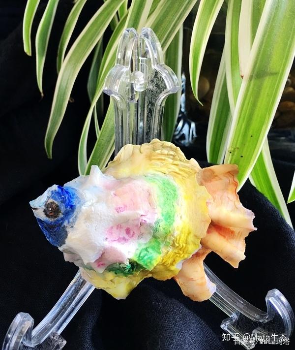 变废为宝有巧思看大山里的孩子怎么利用牡蛎壳做艺术品