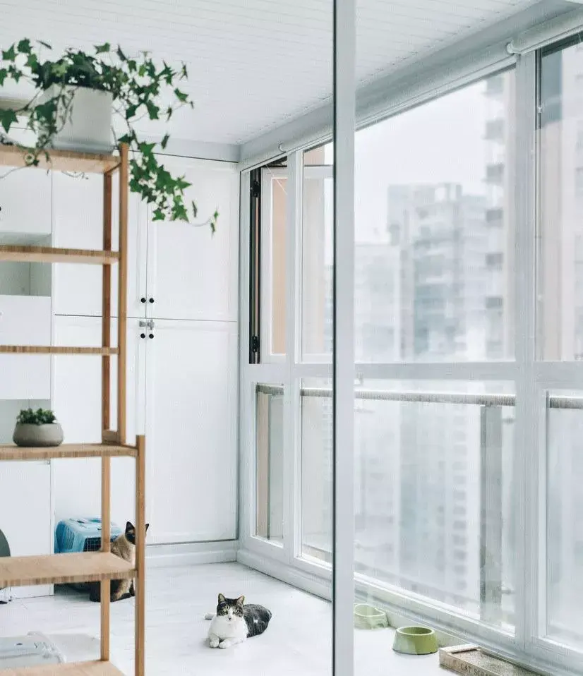 阳台通风,视野开阔,把宠物的小家安在这里,是一个绝佳的选择.