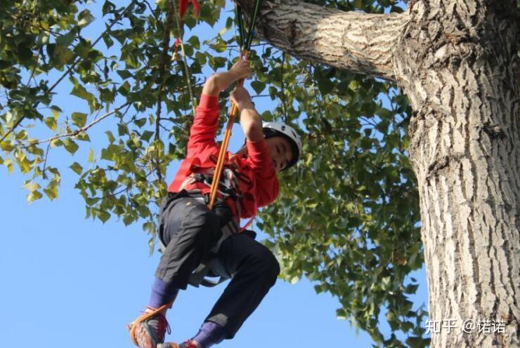 巧手来自熟练熟练来自实践
