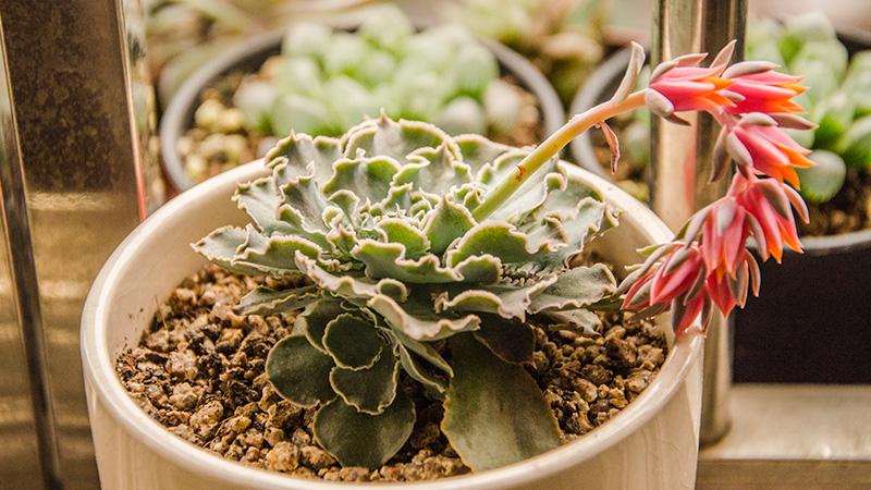 v2-8f56546de882d27123898aadfa99e06f_1440w.jpg?source=172ae18b