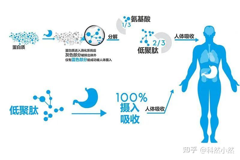 传祺m8商务车报价2022款价格