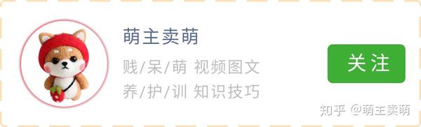 比格犬有几种颜色如何挑选纯种比格犬为什么黑色是最好的 知乎