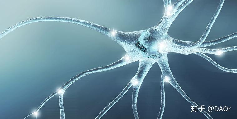 你和不老女神只差了三个字荷尔蒙