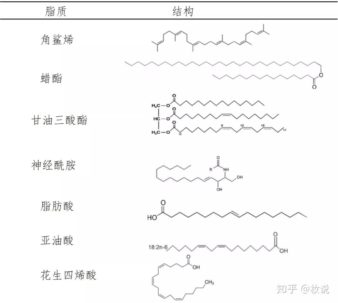 典型的皮肤脂质的结构式见表1.