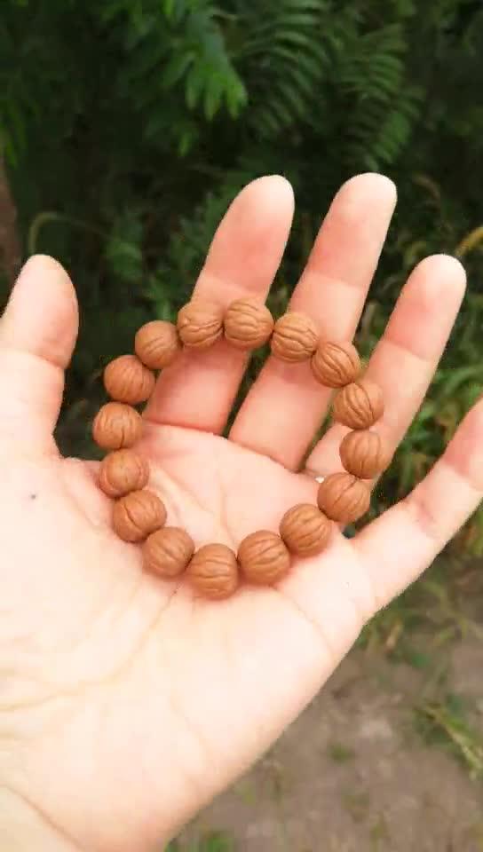 美国黑核桃文玩俗称猴头