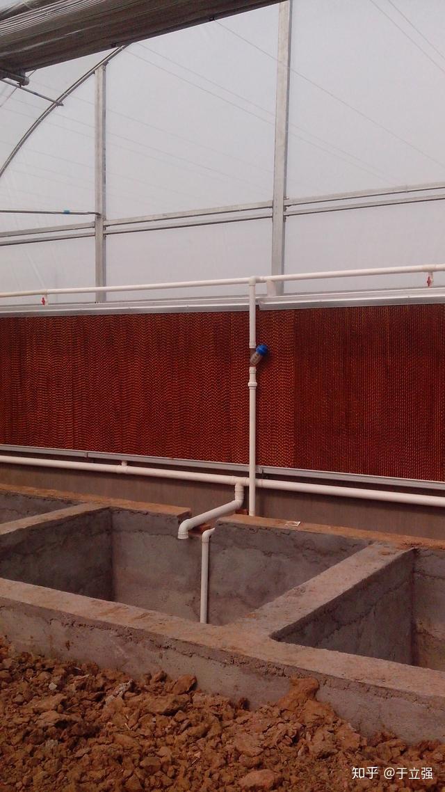 关注温室大棚湿帘使用中容易忽略的小技巧