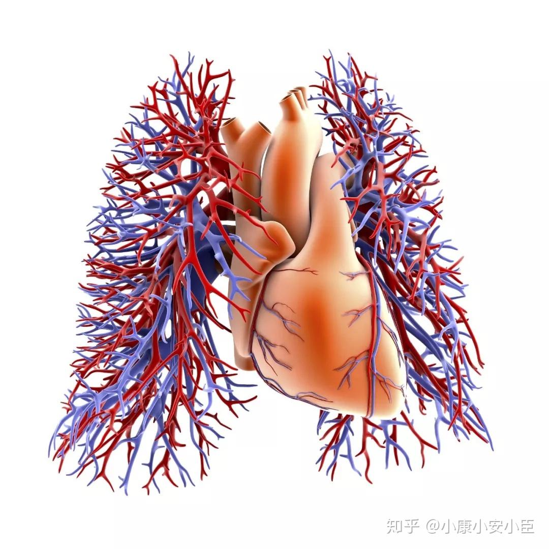 v2-8fa0ca317c2f7162f53e55a201aafe2e_r.jpg