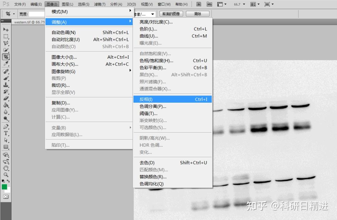 计算条带灰度,就交给photoshop吧~ - 知乎