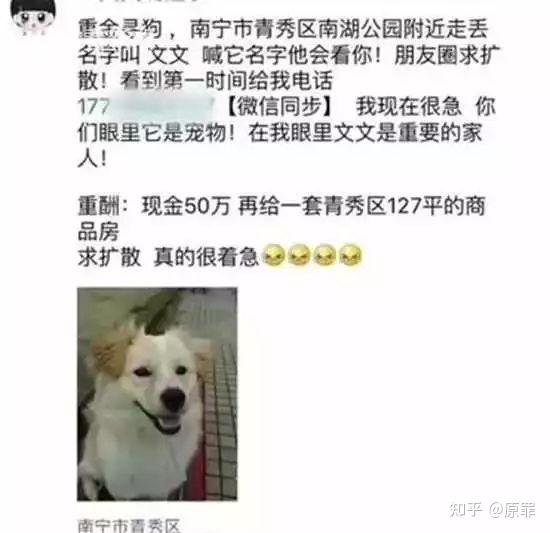 悬赏1000万的狗找到了,却给5000答谢:真救狗心切,也是真“狗”… - 知乎