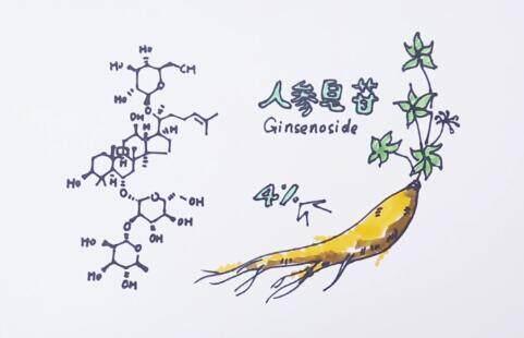 人参中含有的低极性,稀有人参皂苷又是人参皂苷中的重要活性成