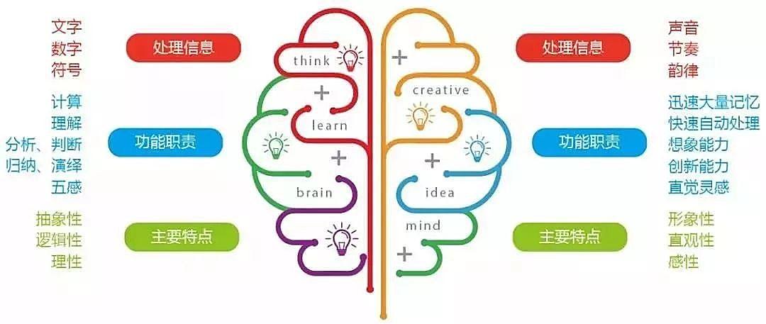培养孩子的抽象逻辑思维能力