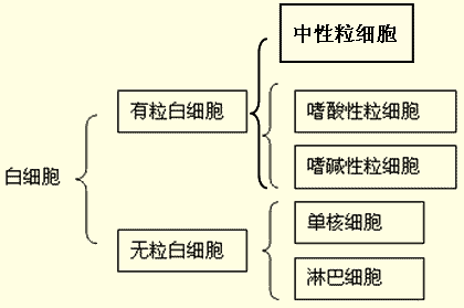 v2-8fc97c0b14a8929adf27842fea1bfdb2_b.gif