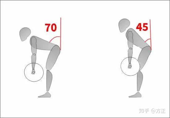 5x5特辑|杠铃划船详尽技术