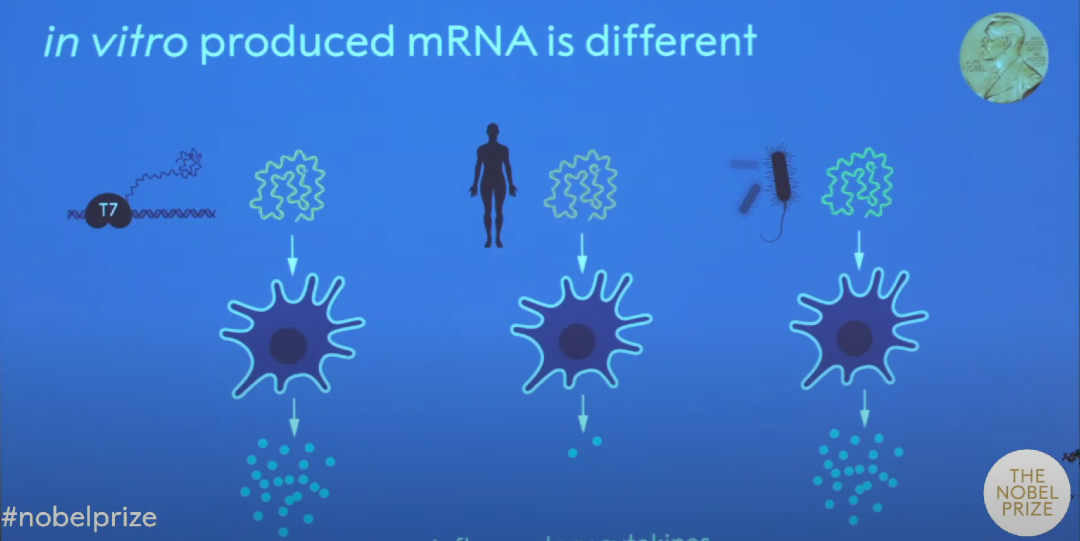 诺奖背后的科学之路！两大突破，引领了mRNA疫苗的诞生 - 知乎