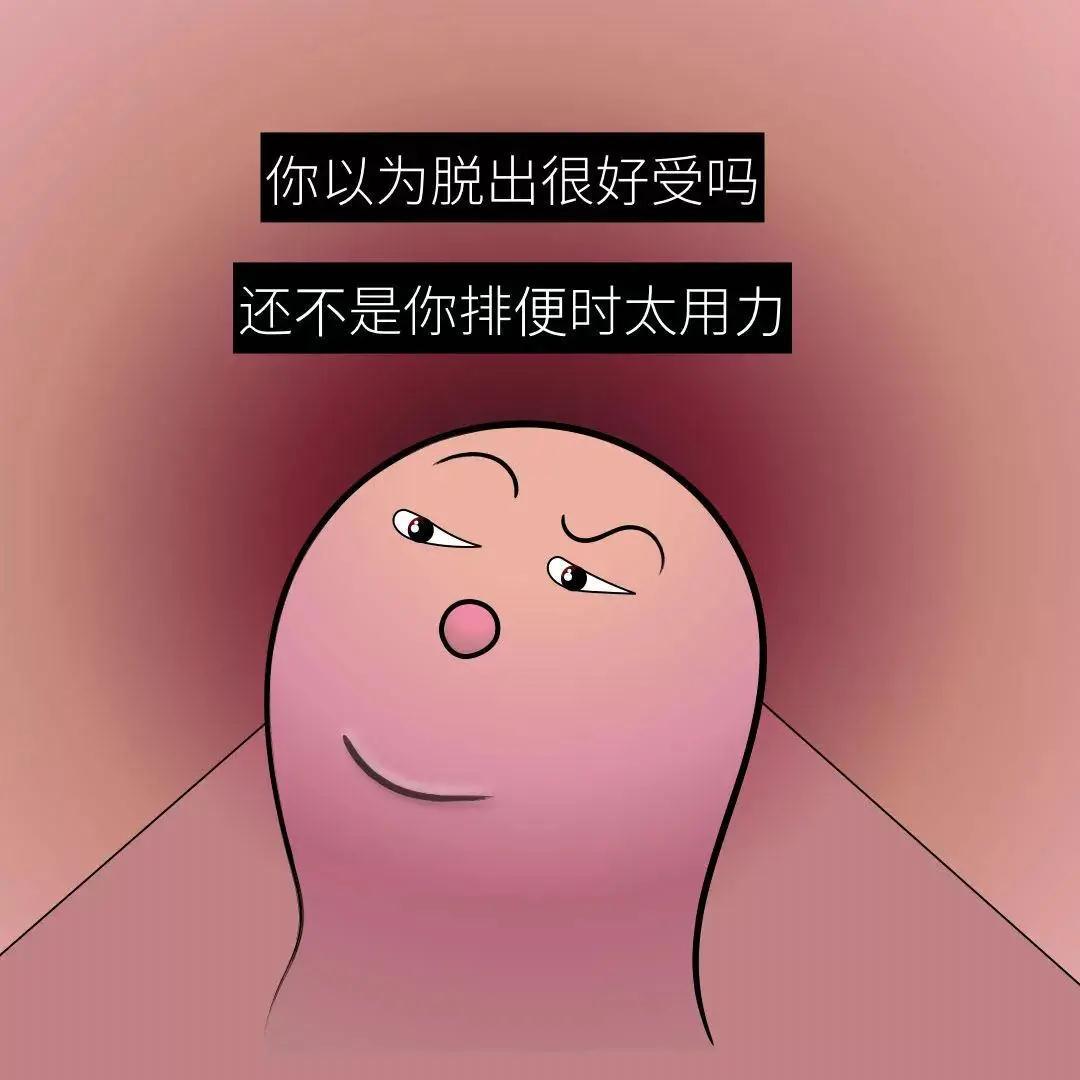 v2-8fef2ca17fd3744050bca37382571ad7_1440w.jpg?source=172ae18b