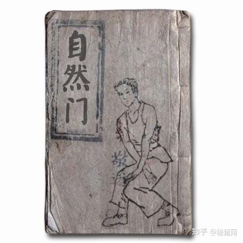 兼具众多门派拳术的特点，包括内功、外功、拳术、轻功、暗器、兵器的《自然门》武功秘籍二十册 - 知乎