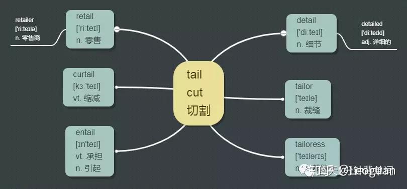 每天1分钟背单词 词根 tail - 知乎