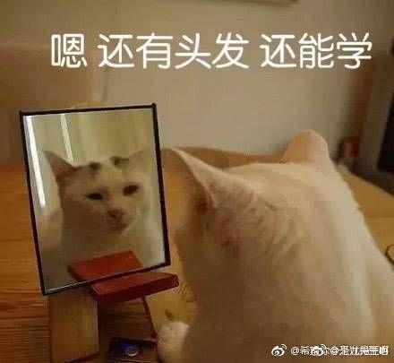 护肤保养图片对比反馈图_26岁干性皮肤女人如何保养护肤_护肤保养知识