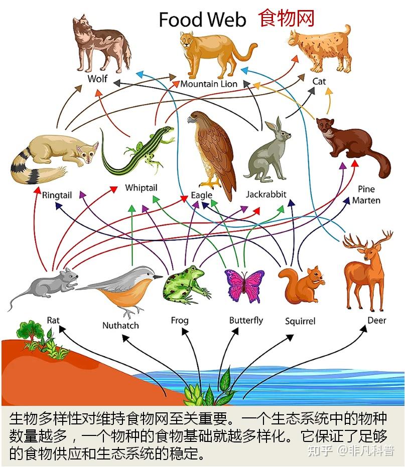 为什么生物多样性对地球生命至关重要? - 知乎