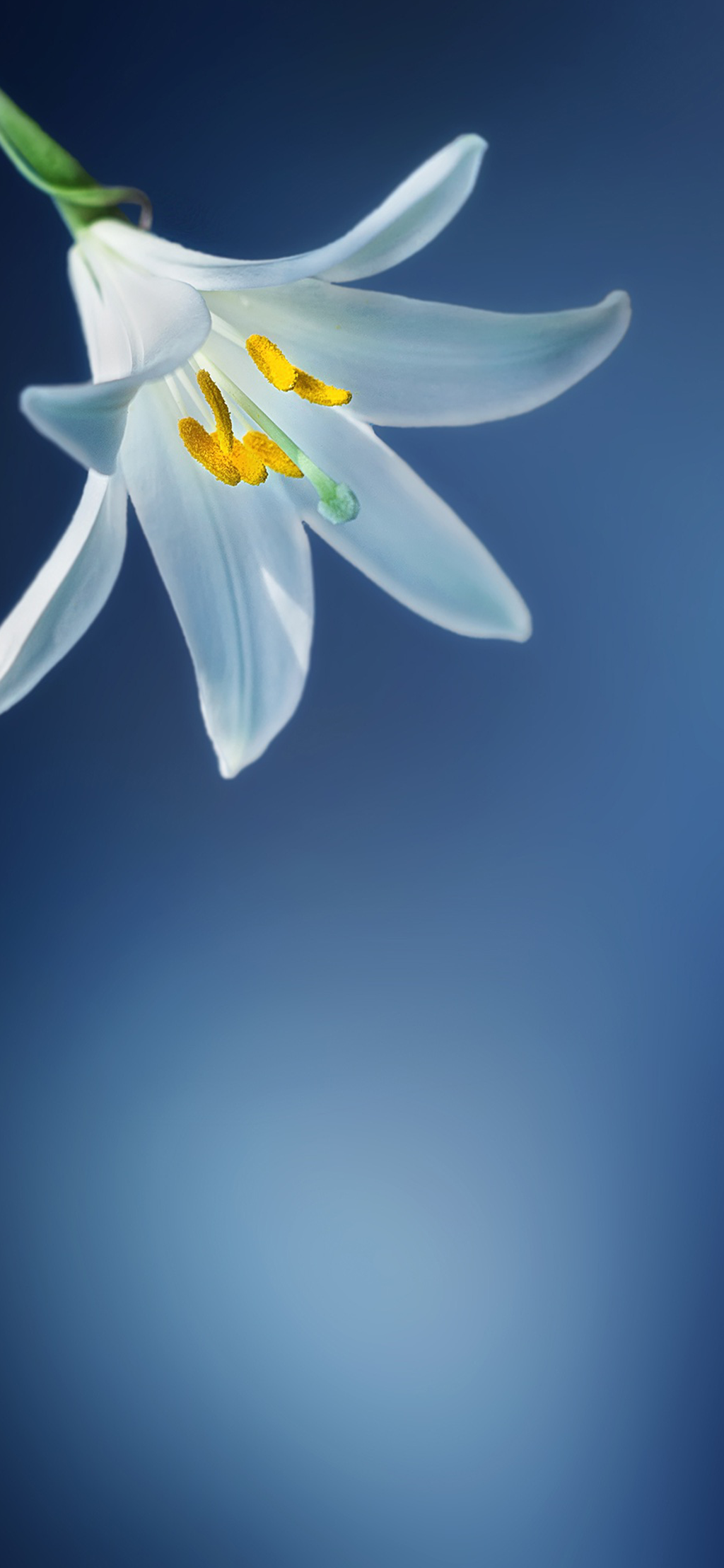 有哪些适合华为p30/p30 pro的壁纸? - 知乎