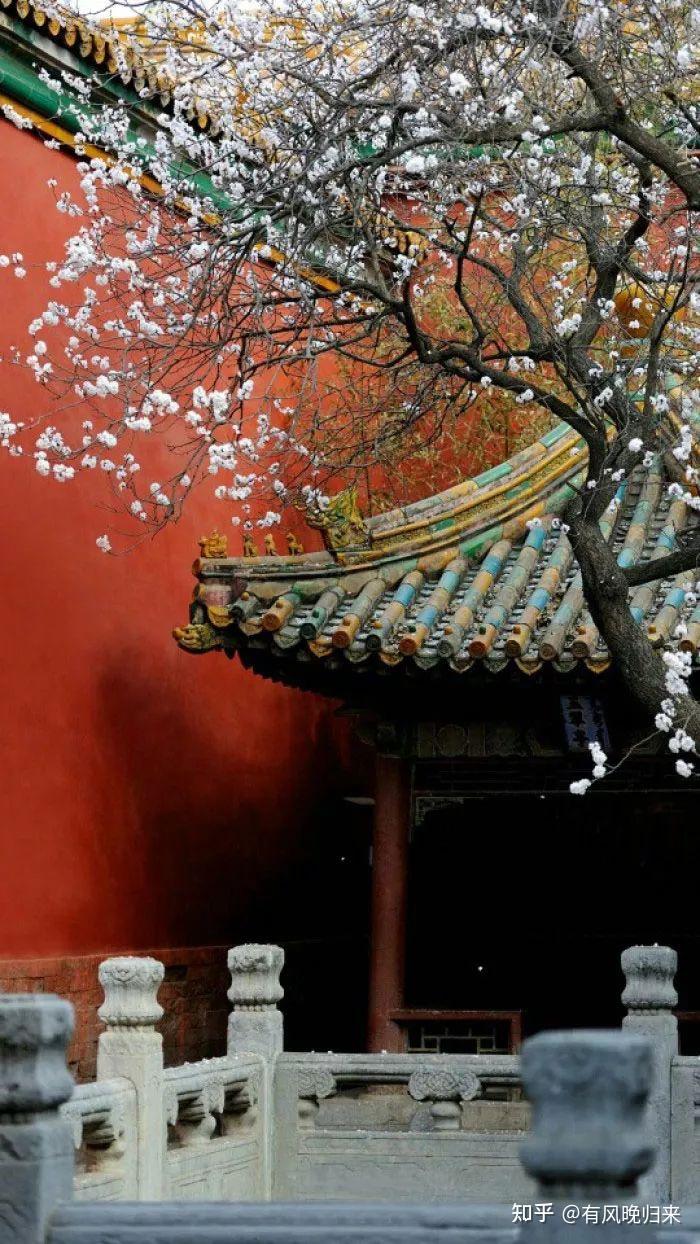 红墙黄瓦宫墙内外花枝隐现好似又回到了那个庭院深深的紫禁城美到让人