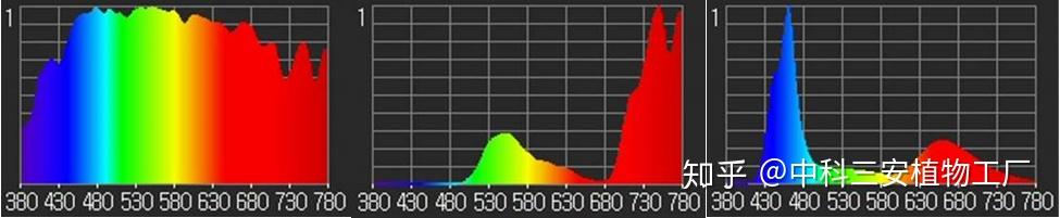 光配方：植物的”芯“光大道 - 知乎