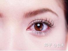 v2-90509ac9cb0c1547594ed76db4e1ca5a_b.jpg