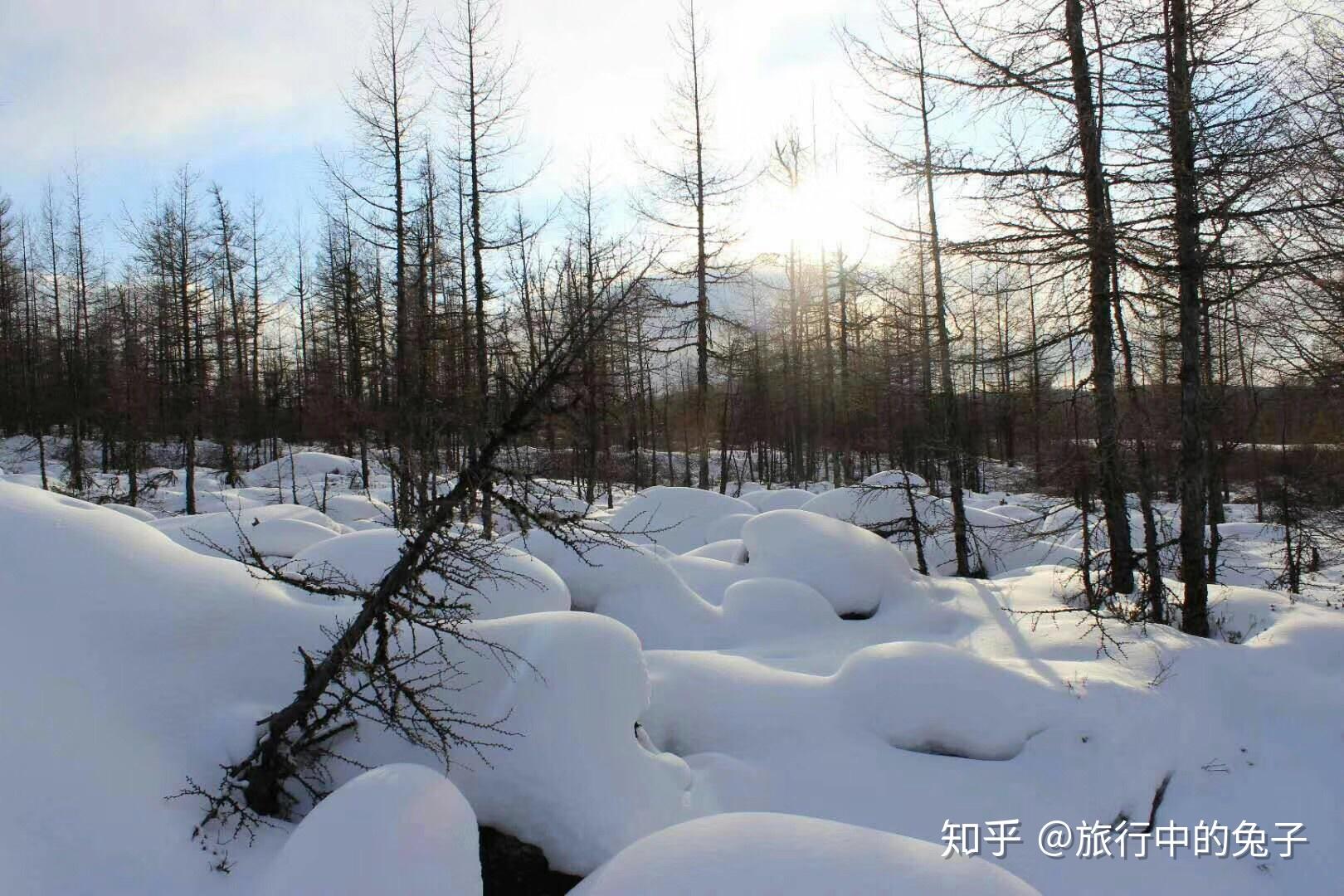 漠河 | 冬日一定要去的城市！邂逅零下40度的冰雪王国 - 知乎