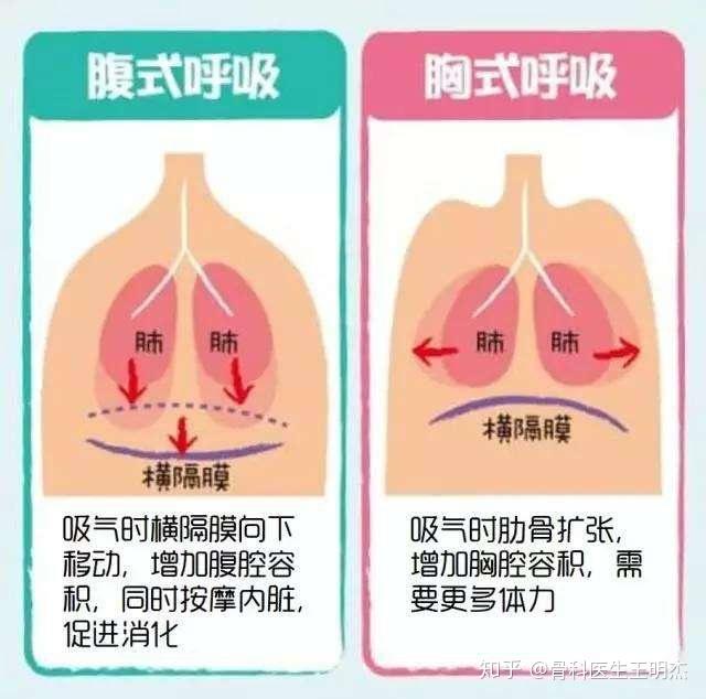 怎么样减轻心脏负荷 v2-905b007cec801df5a864e6ba85a0e4aa_r.jpg