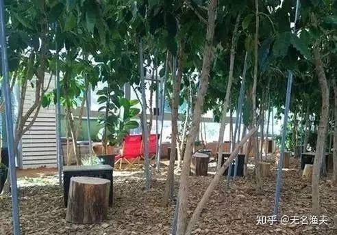 迷你农场攻略