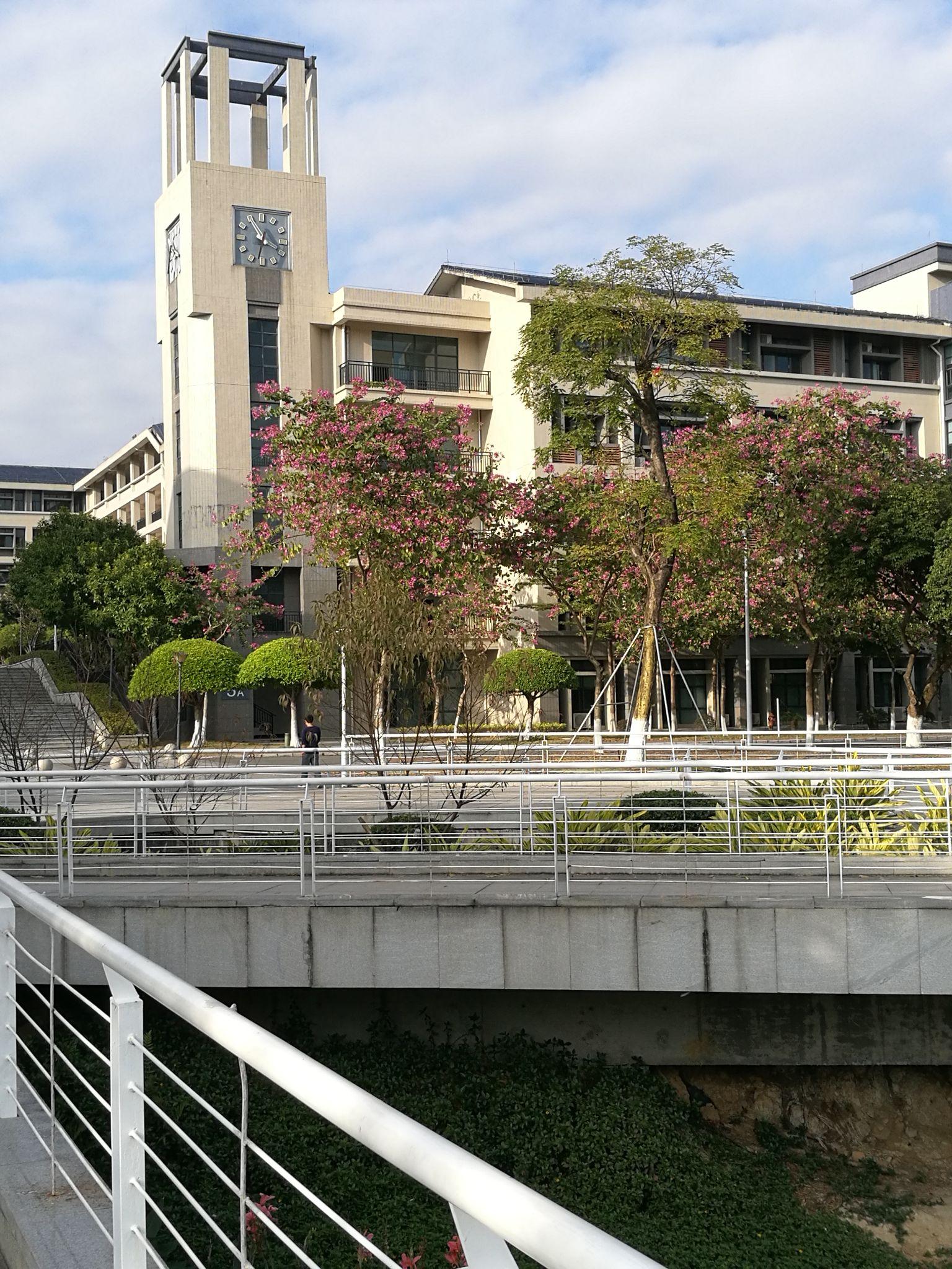 在东莞理工学院城市学院就读怎样的一番体验?