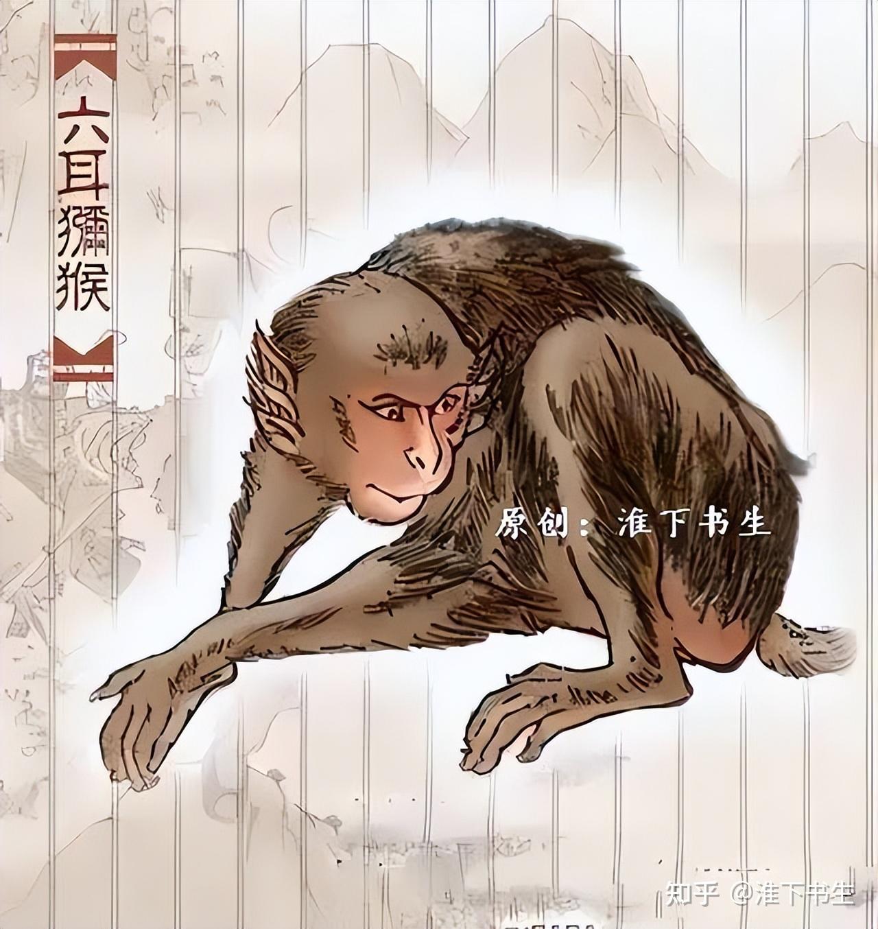孙悟空的原型到底是哪种猴子?猕猴、金丝猴,还是哈奴曼叶猴? - 知乎