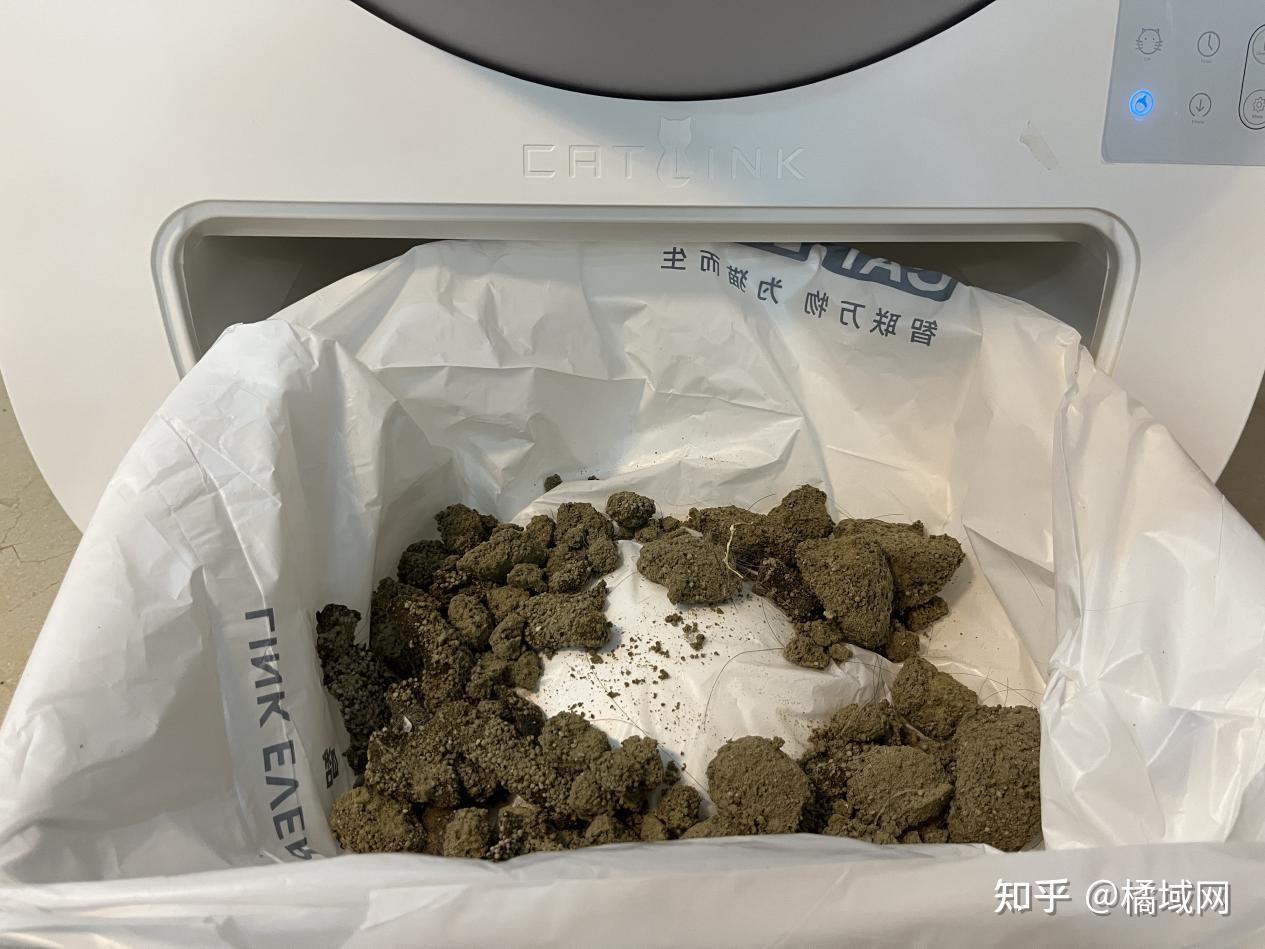 一般多久换一次猫砂盆 v2-906c6dd57154543ce2446ada955bfba2_r.jpg
