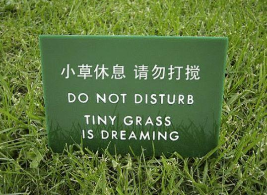不要踩踏草坪的图片图片