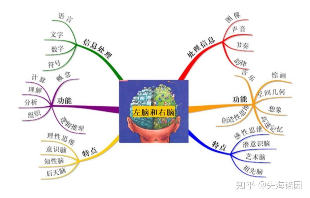 激活对方右脑是恋爱吸引力的至高法则
