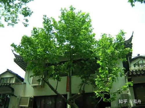 当时古惑仔的电影比较流行,拉帮结派,逃学,早恋,上网更是家常便饭了.