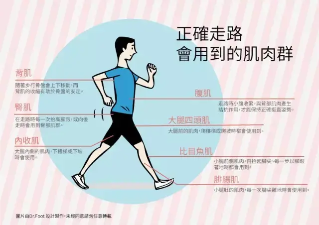 每天晚上长时间走路能减肥吗？ - 知乎
