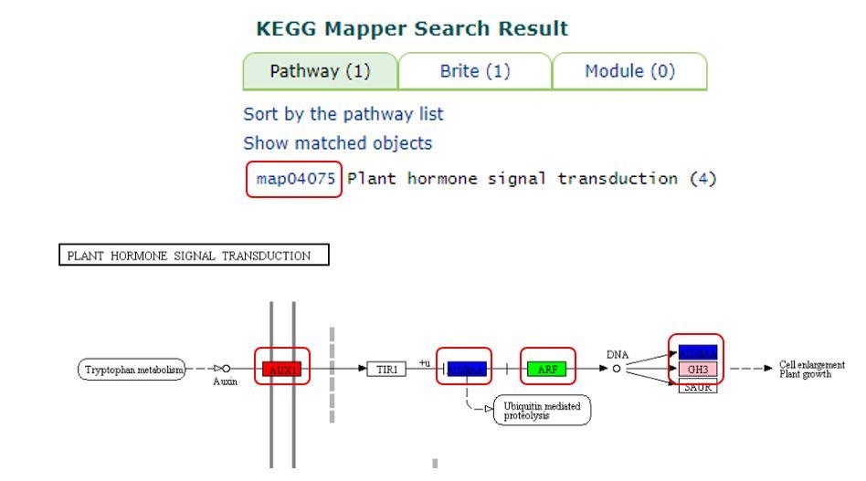 什么是基因编码 v2-90ccfebeb4abd0183a5d845610806276_r.jpg