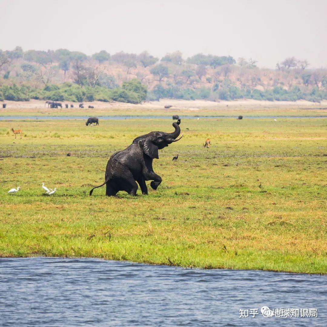 这个著名的大湖,快要被榨干了 地球知识局 知乎